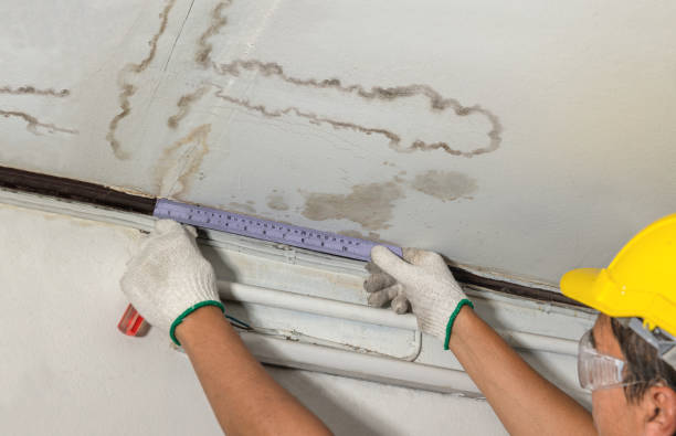 Reliable Water Damage contractor in Wheat Ridge, CO by Water Damage Irwin